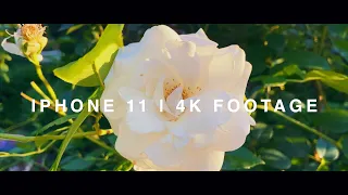 iPhone 11 | 4k Footage | A selection of test shots (4K)