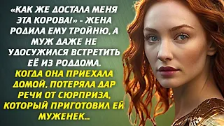 📗 «Как же достала меня эта корова!» - Жена родила ему тройню, а муж даже не встретил её из роддома