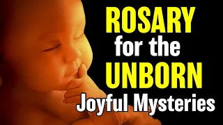 Rosary for the Unborn Child | Joyful Mysteries | Rosary for Life