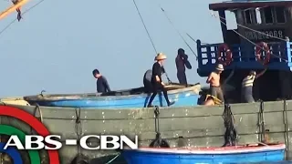 Chinese harvesting giant clams in Scarborough Shoal | ANC