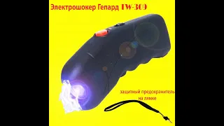 Электрошокер Гепард TW 309