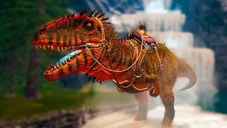 КАК БЫСТРО ПРИРУЧИТЬ КАРХАРОДОНТОЗАВРА В АРК? ➤ Ark: Survival Evolved | Carcharodontosaurus taming.