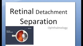Ophthalmology 307 Retinal Detachment What is Separation Retina Layers Histology Microscopy Anatomy