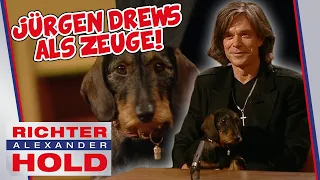 Jürgen Drews als Zeuge! 🤩 Und er kommt nicht allein! 🐶 | Richter Alexander Hold