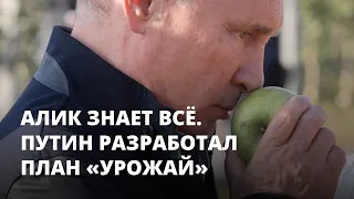 Путин разработал план «Урожай». Алик знает всё