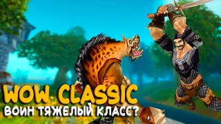 Пятый день официальных Hardcore серверов WoW Classic