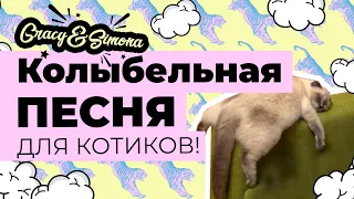 Колыбельная для детей ( Мама кошка укладывает котят спать )