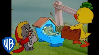 Tom y Jerry en Latino | Los personajes más bonitos de Tom y Jerry  |  @WBKidsLatino