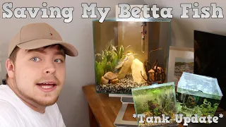 I Saved My Betta Fish! *tank update*