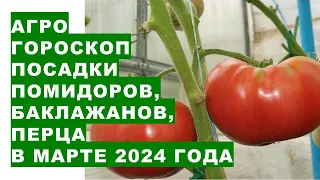 Агрогороскоп посадки томатов, перца, баклажанов в марте 2024Agrohoroscope for planting tomatoes in M