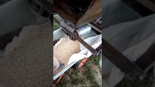 Плющилка зерна