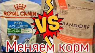 ЧЕМ КОРМИТЬ ЩЕНКА?!Перестала есть Royal Canin перешли на Grandorf ТОЙ ПУДЕЛЬ