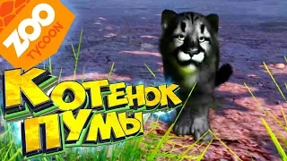 Чёрный КОТЕНОК ПУМЫ - Прохождение #3 - ZOO Tycoon