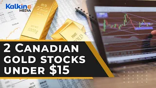 2 Canadian gold stocks to buy under $15 amid high inflation