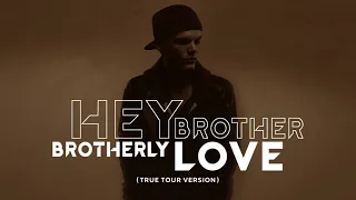 Avicii - Hey Brother (True Tour Version) [Remembrance of Tim] {Remake/Unreleased/Unofficial}