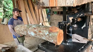 Proses penggergajian kayu mahoni idaman tukang