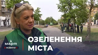 🌳 ДЕРЕВ стало БІЛЬШЕ: МИКОЛАЇВСЬКІ ПАРКИ висадили саджанці по проспекту Центральному