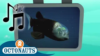 Octonauts - Spook Fish | Cartoons for Kids | Creature Reports