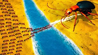 NEW Fire Ants vs Bombardier Beetle in Empires of the Undergrowth Update - Fire Ant Bridge Battle!
