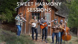 The Brothers Comatose | Too Many Places | Sweet Harmony Sessions