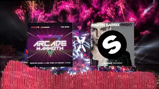 Dimitri Vegas & Like Mike vs Martin Garrix - Arcade Mammoth vs Proxy