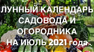 ПОСЕВНОЙ 🌙ЛУННЫЙ КАЛЕНДАРЬ 🪴 САДОВОДА И ОГОРОДНИКА НА ИЮЛЬ 2021 года