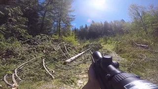 Bear Charges Hunter After First Shot