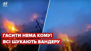 🔥Гасити нема кому! На Росії горять ліси