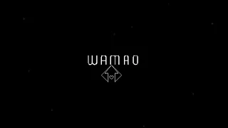 WAMAO - Party