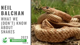 Neil Balchan - What We (Don't) Know About Snakes