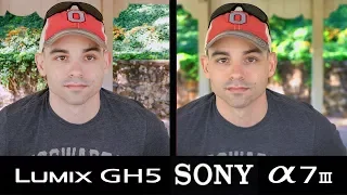 Sony A7III vs GH5 vs A6300/A6500 Auto Focus Test!  Whats the FASTEST FOCUSING YouTube Camera?!