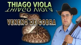 VENENO DE COBRA - THIAGO VIOLA