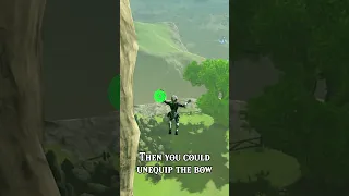 Can you use an Invisible Glider in Tears of the Kingdom?