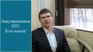 Аннулирование ПТС таможенными органами - выход есть!