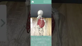 AR Skeleton App Demo