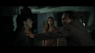 If John Williams Scored Harry Potter and the Deathly Hallows (The Burrow)