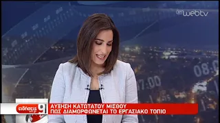 Ο Ν. Ηλιόπουλος στην ΕΡΤ για τον κατώτατο μισθό | 29/1/2019 |