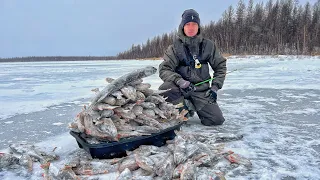 ЭТО НЕ СОН?!! ДВА МЕШКА РЫБЫ НА ОБЫЧНЫЕ УДОЧКИ! Рыбалка которую невозможно забыть!