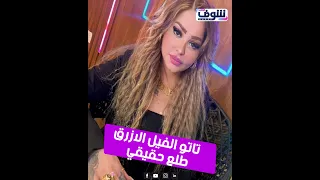 الفيل الأزرق طلع حقيقه".. إيمي تاتو تكشف مفاجآت في أطول حوار لها (خاص) تصوير : زهرة سعد