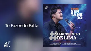 Marcelinho De Lima Part. Léo Magalhães - Tô Fazendo Falta - Mais Sertanejo