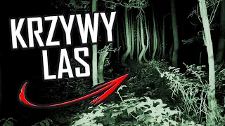 Nocleg w "przeklętym" Krzywym Lesie - Urbex History