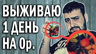 КАК ПРОЖИТЬ ЦЕЛЫЙ ДЕНЬ НА 0 РУБЛЕЙ! проверяем лайфхаки slivkishow  жирный