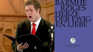 J.S. Bach - Cantata BWV 185 "Barmherziges Herze der ewigen Liebe" (J.S. Bach Foundation)