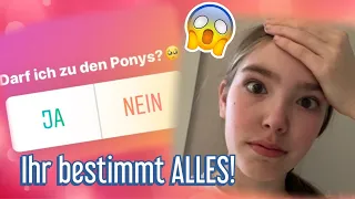 INSTAGRAM BESTIMMT einen TAG ALLES!