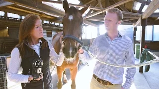 Using FLIR Thermal Imaging for Equine Thermography