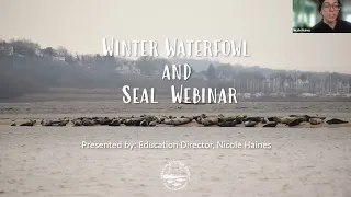 Winter Waterfowl and Seal Webinar