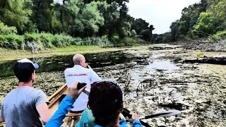 Kanutour im Nationalpark Donau-Auen