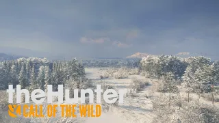 A Morning in Medved - TheHunter Call of the Wild - Medved-Taiga LIVE Part 6 - 01/12/2022