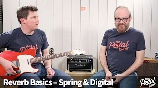 That Pedal Show - Reverb Basics, Amp Spring, Amp Digital & Pedals