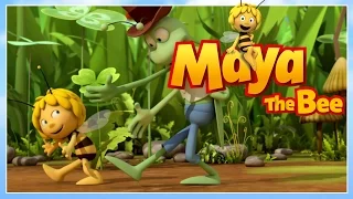 Maya the bee - Episode 18 - Dances with bees